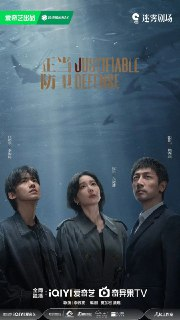 正当防卫 全15集 [2025]