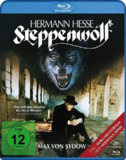 荒原狼 Steppenwolf (1974) 英语外挂中字.1080p.BluRay