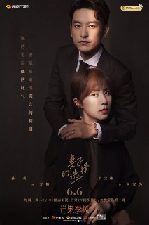 妻子的选择 (2022)