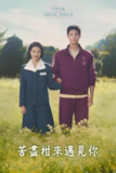 苦尽柑来遇见你 (2025) 1080P 全集 内嵌简繁字幕
