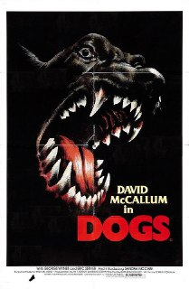 癫狗 Dogs (1976) 1080p 原盘Remux 中文字幕 【18.04GB】已刮削