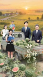 种瓜得瓜种豆得豆 (30集) 刘丽&陈子轩 | 短剧
