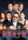 情陷夜中环 合集