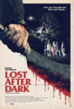 黑暗迷失 Lost After Dark (2014) 1080p 原盘Remux 【16.88GB】已刮削