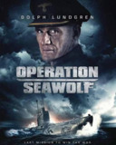 海狼行动 Operation Seawolf (2022) 1080p 原盘Remux 中文字幕 【14.27GB】已刮削