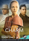 回头遇到爱 Love Finds You in Charm (2015) 1080p 原盘Remux 【13.34GB】已刮削