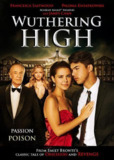 呼啸高中 Wuthering High School (2015) 1080p 原盘Remux 【16.24GB】已刮削