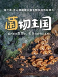 688570afe87d0.jpg (120×160)