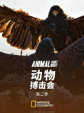 动物搏击会 第二季 Animal Fight Club Season 2 (2014)