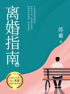 《离婚指南》苏童经典中篇小说(epub)