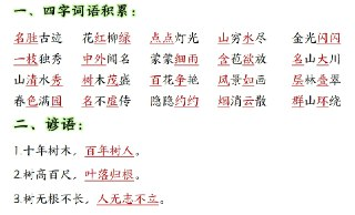 小红书热门学习资料合集：按年级分类，助力高效学习