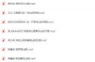 2024年抖音火爆DJ合集：200多首无损车载DJ音乐盘点