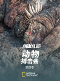 动物搏击会 第四季 Animal Fight Night Season 4 (2016)