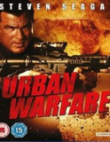 警署先锋 True Justice: Urban Warfare (2012) 1080p 原盘Remux 【18.84GB】已刮削