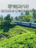 奇迹时刻：斯里兰卡努沃勒埃利耶 MOMENTS OF WONDER:Nuwara Eliya (2019)