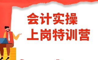 会计上岗特训营：零基础入门到会计实操高手全攻略