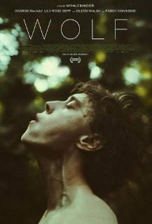 狼 Wolf (2021) 1080p 原盘Remux 中文字幕 【19.52GB】已刮削