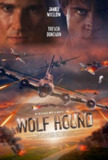 猎狼犬行动 Wolf Hound (2022) 1080p 原盘Remux 中文字幕 【25.91GB】已刮削