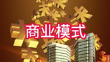 几百套真实商业模式合集，电子书+视频图文详细解析