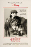 狼女传奇 The Journey of Natty Gann (1985) 1080p 原盘Remux 中文字幕 【18.47GB】已刮削