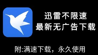迅雷PC去广告SVIP绿色精简版下载，最终优化版高速无弹窗体验
