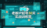 诸葛-老板IP起号30天实战训练营