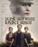误杀 (2019) 1080P BluRay