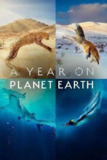 地球上的一年 (2022) 4K 杜比视界 中字硬字幕