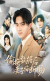 偷换数据后妻子悔断肠 (63集) 王言睿&吴帆 | 短剧