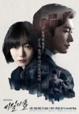 秘密森林 3季全 1080P 中字内嵌字幕