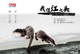 我住江之头 (2022)
