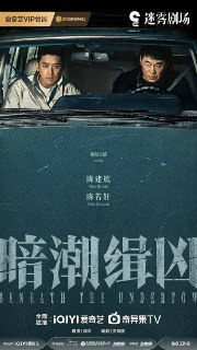 暗潮缉凶 (2025)剧情 犯罪 陈建斌 陈若轩 4KHDR60FPS 更新04集