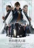 神奇动物2：格林德沃之罪  (2018) 4K HDR 中字外挂字幕