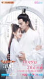 将军家的小娘子 (2020)