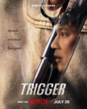 枪口彼端 /Trigger/触发 트리거 (2025) 10集 1080p简中 金英光&金南佶/动作&惊悚