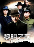 黎明之前 (30集) 吴秀波&林永健&海清 | 国产剧