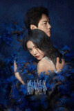 【完结】婚内婚外 (2024) 4K