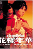 花样年华 (2000) 1080P 国粤多音轨 中字内嵌字幕