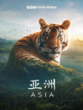 亚洲 (2024) 4K 高码 全集 国英多音轨 中字内嵌字幕