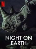 地球的夜晚 (2020) 1080P 中字外挂字幕