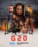 G20 峰会 (2025) 4K HDR 中字内嵌字幕