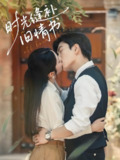时光缝补旧情书 (80集) 石佳&郝韵 | 短剧