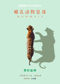哺乳动物星球 Mammals (2024)