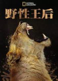 野性王后 (2024) 4K 中字内嵌字幕