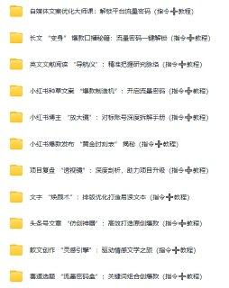 某社群99元AI写作指令课程，视频+文档全套教程合集