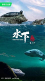 水下中国 第二季 (2024)
