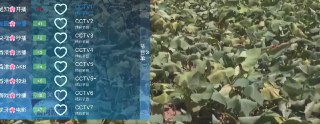 暮雨电视 v7.0 央视+卫视+地方+港澳台+轮播+虎牙+春晚