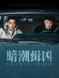 暗潮缉凶 2025 4k 15-19集完结 60帧率 HDR 杜比环绕声