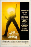 危险人物 Valdez Is Coming (1971) 1080p 原盘Remux 【15.55GB】已刮削