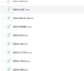 胡彦斌精选歌曲母带合集 WAV 48kHz 24bit